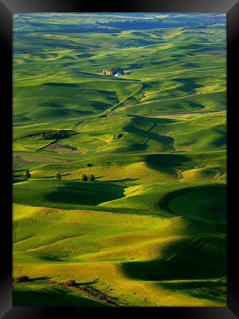 Palouse Morning Framed Print by Mike Dawson