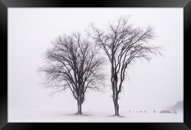 The heart of winter Framed Print by Colin Woods