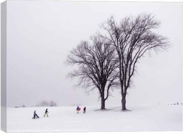 People sledging on the Plains of Abraham Canvas Print by Colin Woods