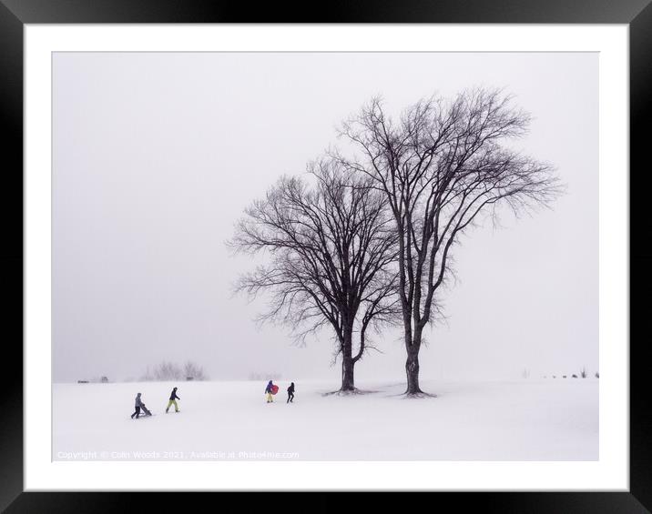 People sledging on the Plains of Abraham Framed Mounted Print by Colin Woods