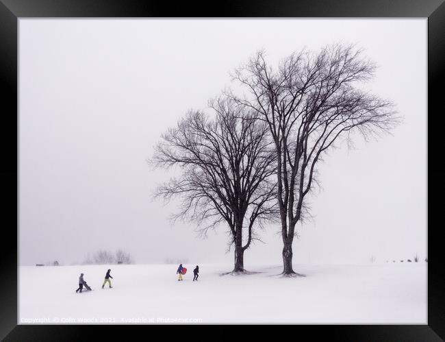People sledging on the Plains of Abraham Framed Print by Colin Woods