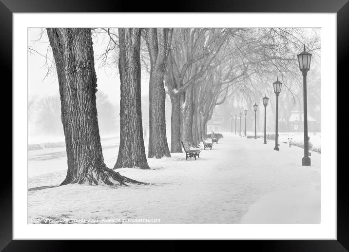 AbsA row of mature maples on the Plains of Abraham, Quebec City, Canadatract  Framed Mounted Print by Colin Woods
