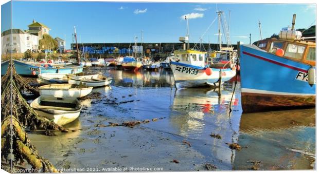 The Inner Harbour, Mevagissey, Cornwall. Canvas Print by Neil Mottershead