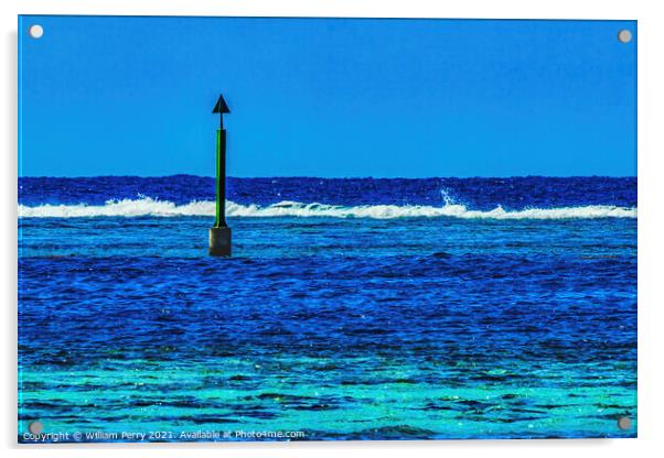 Colorful Blue Water Moorea Tahiti Acrylic by William Perry