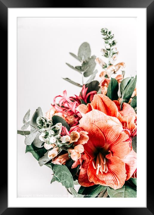 Floral Print, Coral Flowers Art, Pastel Flower Modern Home Decor Framed Mounted Print by Radu Bercan