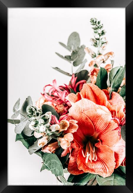 Floral Print, Coral Flowers Art, Pastel Flower Modern Home Decor Framed Print by Radu Bercan