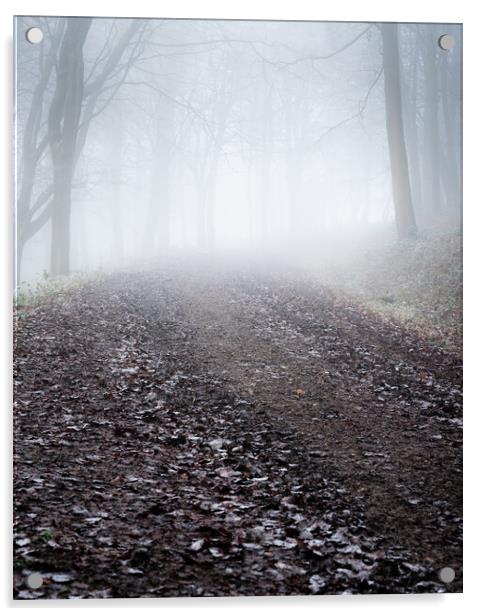 Misty Woodland path Acrylic by Lubos Fecenko