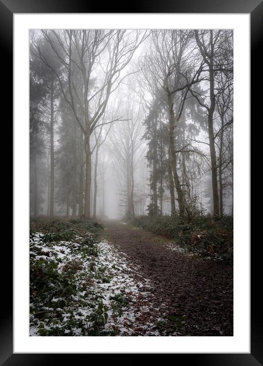 Misty woodland path Framed Mounted Print by Lubos Fecenko