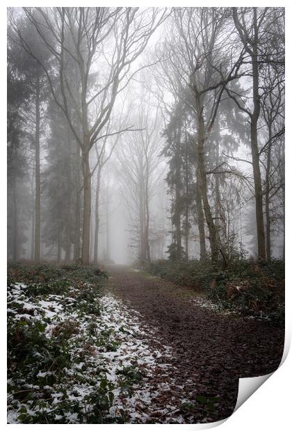 Misty woodland path Print by Lubos Fecenko