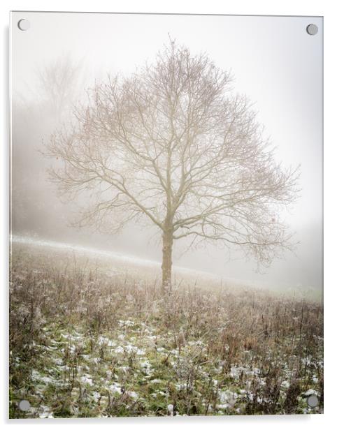 Lone tree in the mist Acrylic by Lubos Fecenko