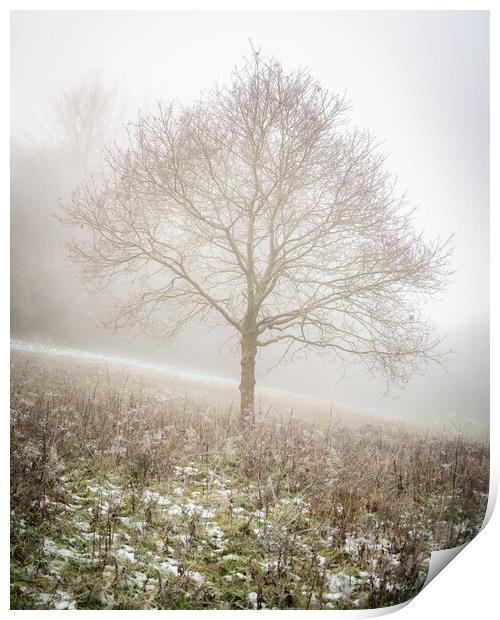 Lone tree in the mist Print by Lubos Fecenko