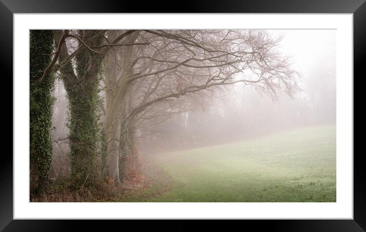 Misty Valley  Framed Mounted Print by Lubos Fecenko