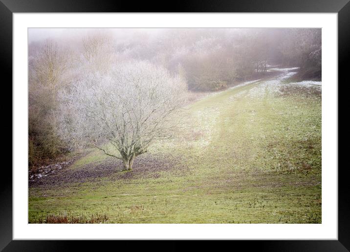 Misty Valley Framed Mounted Print by Lubos Fecenko