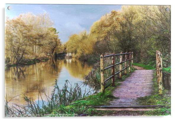 Walking Along The Kennet and Avon Acrylic by Ian Lewis