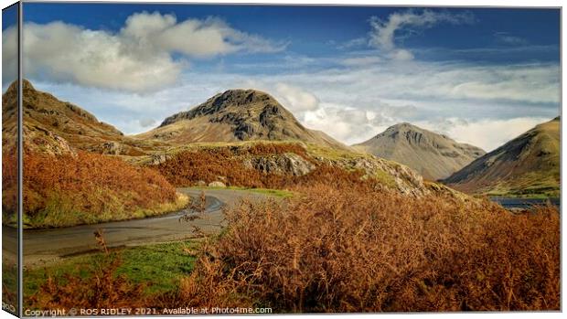 A sunny drive through Wasdale Canvas Print by ROS RIDLEY