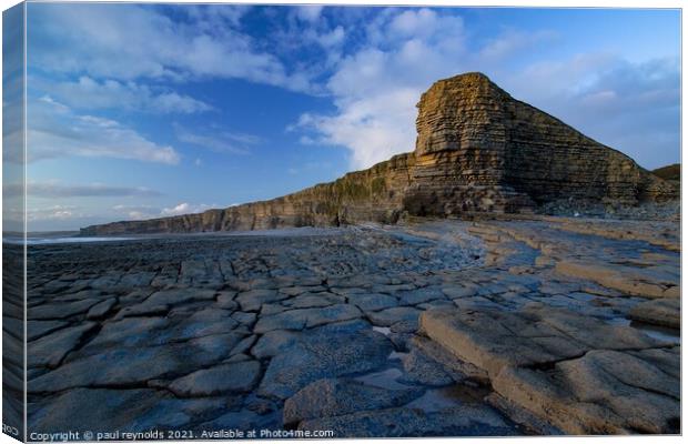 Nash Point  Canvas Print by paul reynolds