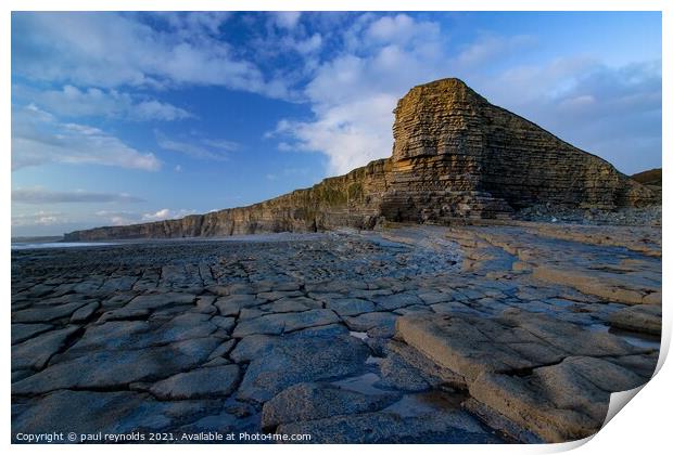 Nash Point  Print by paul reynolds