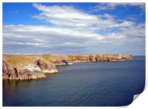 Stackpole Headland.Pembrokeshire.Wales. Print by paulette hurley