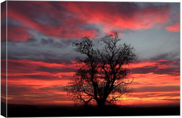 sunrise sky Canvas Print by Simon Johnson