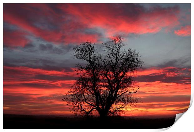 sunrise sky Print by Simon Johnson