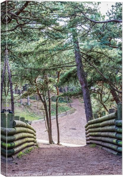 Pinewoods Formby Merseyside  Canvas Print by Phil Longfoot