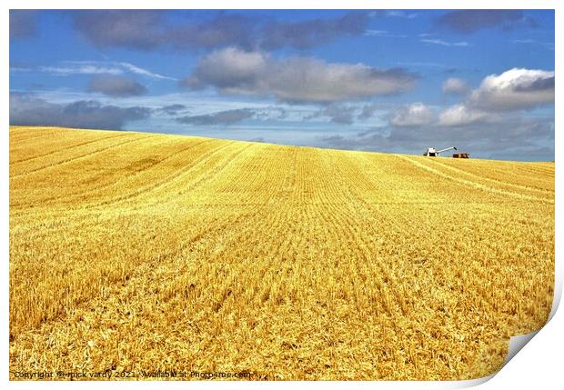 Cutting wheat in Northumberland. Print by mick vardy