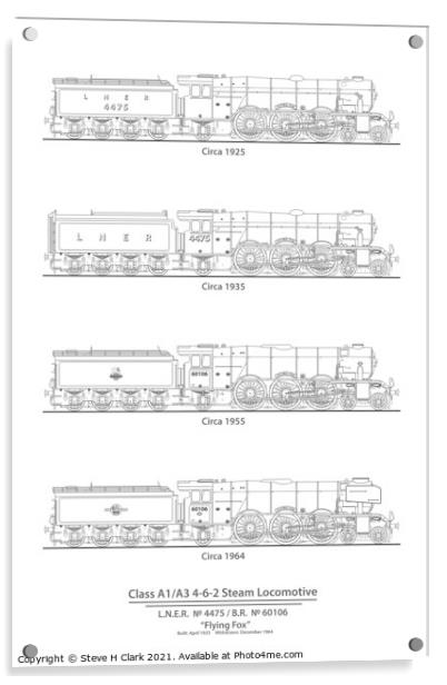 Class A1/A3  steam locomotive Flying Fox 1923-1964 Acrylic by Steve H Clark