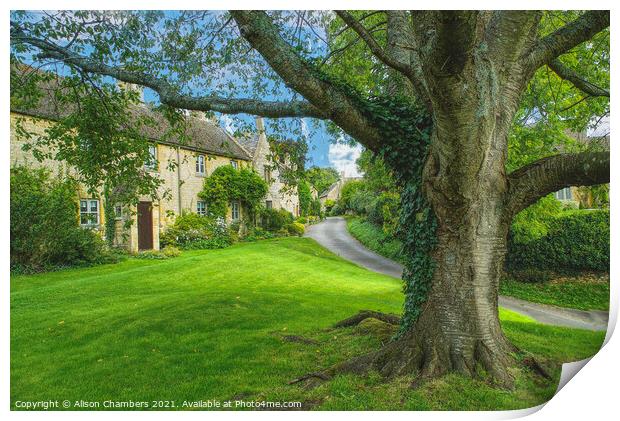 Broad Campden Village Green Print by Alison Chambers