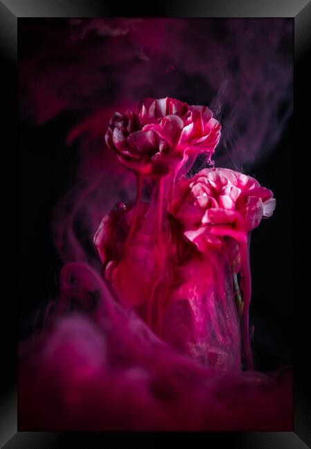 Magical Flower Framed Print by Steffen Gierok-Latniak