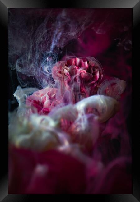 Magical Flower 2 Framed Print by Steffen Gierok-Latniak