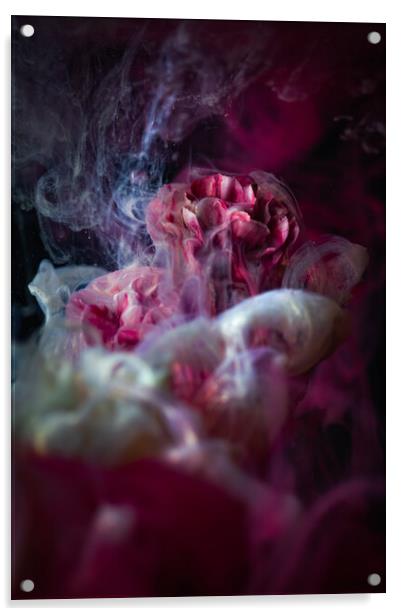 Magical Flower 2 Acrylic by Steffen Gierok-Latniak