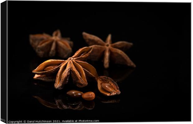 Star anise Canvas Print by Daryl Peter Hutchinson