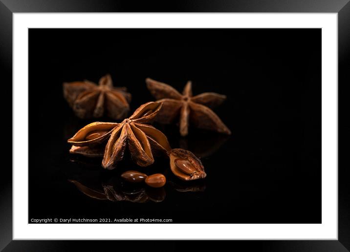 Star anise Framed Mounted Print by Daryl Peter Hutchinson
