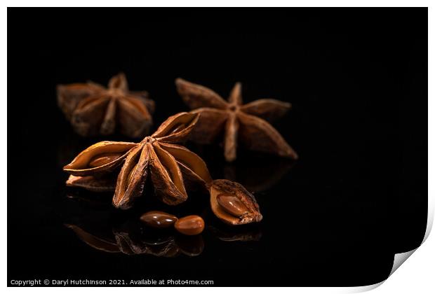 Star anise Print by Daryl Peter Hutchinson