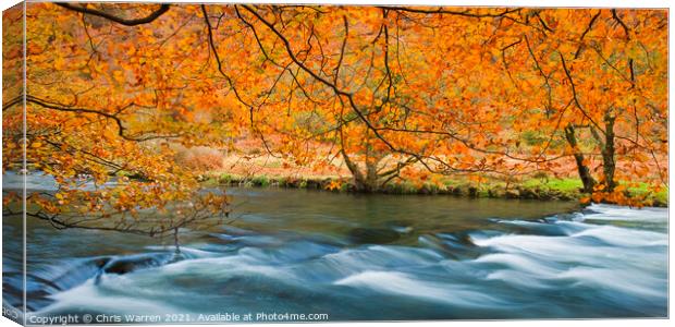 Autumn colours at Afon Glaslyn Beddgelert Canvas Print by Chris Warren