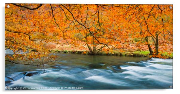 Autumn colours at Afon Glaslyn Beddgelert Acrylic by Chris Warren