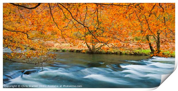 Autumn colours at Afon Glaslyn Beddgelert Print by Chris Warren