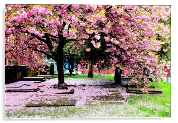 Spring Blossom. Acrylic by john hill