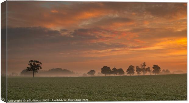 Farmland at dawn. Canvas Print by Bill Allsopp