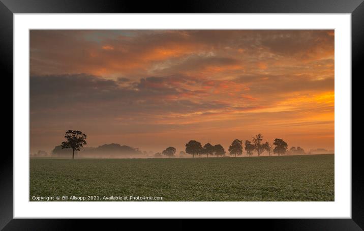 Farmland at dawn. Framed Mounted Print by Bill Allsopp