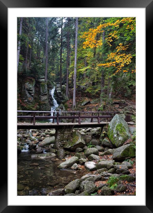 Bridge Over Stream In Mountain Forest Framed Mounted Print by Artur Bogacki