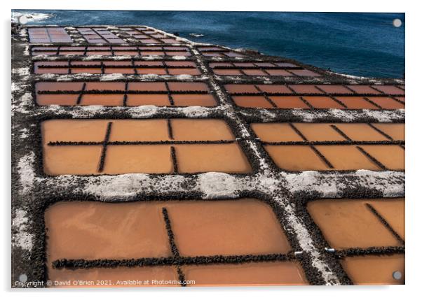 Salt Pans at Fuencaliente Lighthouse Acrylic by David O'Brien