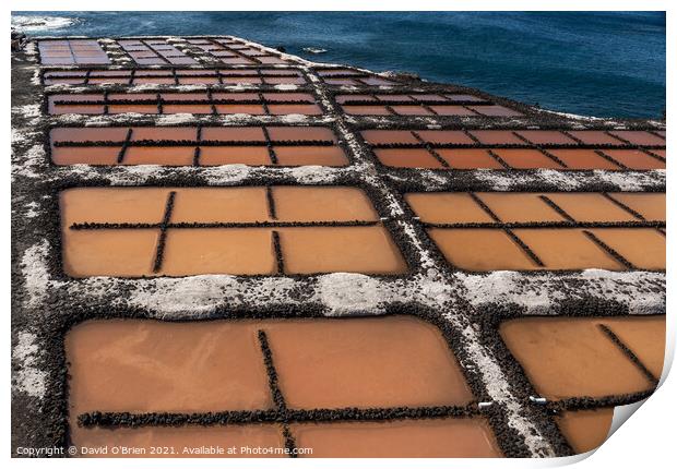 Salt Pans at Fuencaliente Lighthouse Print by David O'Brien