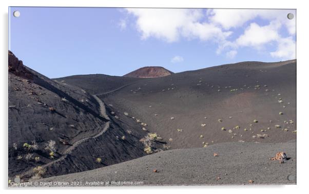 Volcan Teneguia, the path less taken Acrylic by David O'Brien