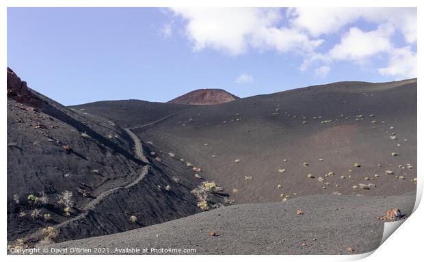 Volcan Teneguia, the path less taken Print by David O'Brien