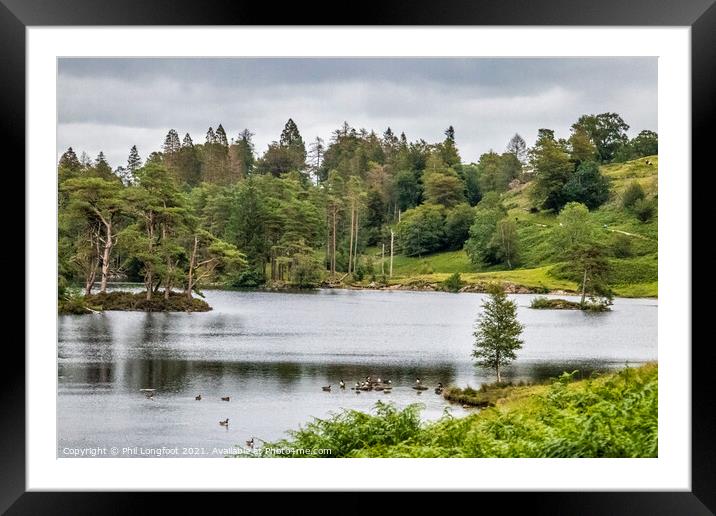 Tarn Hows South Lakes Cumbria  Framed Mounted Print by Phil Longfoot