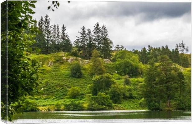Tarn Hows Lake District Cumbria Canvas Print by Phil Longfoot