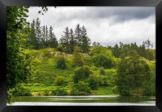 Tarn Hows Lake District Cumbria Framed Print by Phil Longfoot