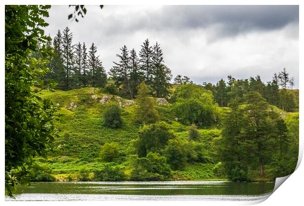 Tarn Hows Lake District Cumbria Print by Phil Longfoot