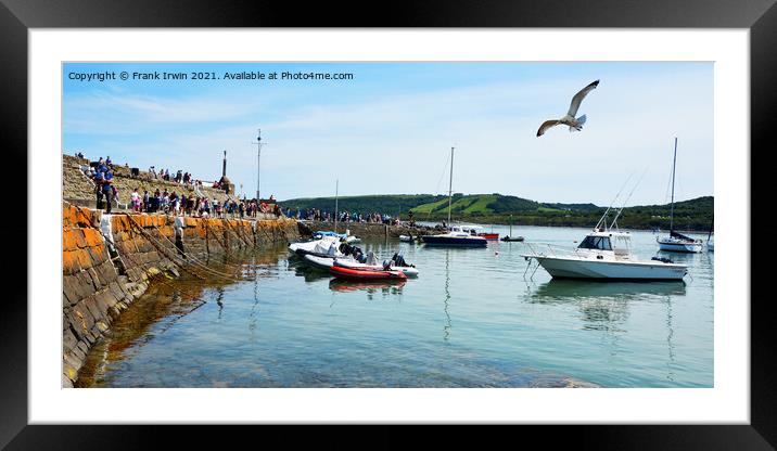 A seagull flies over New Quay Harbour Framed Mounted Print by Frank Irwin